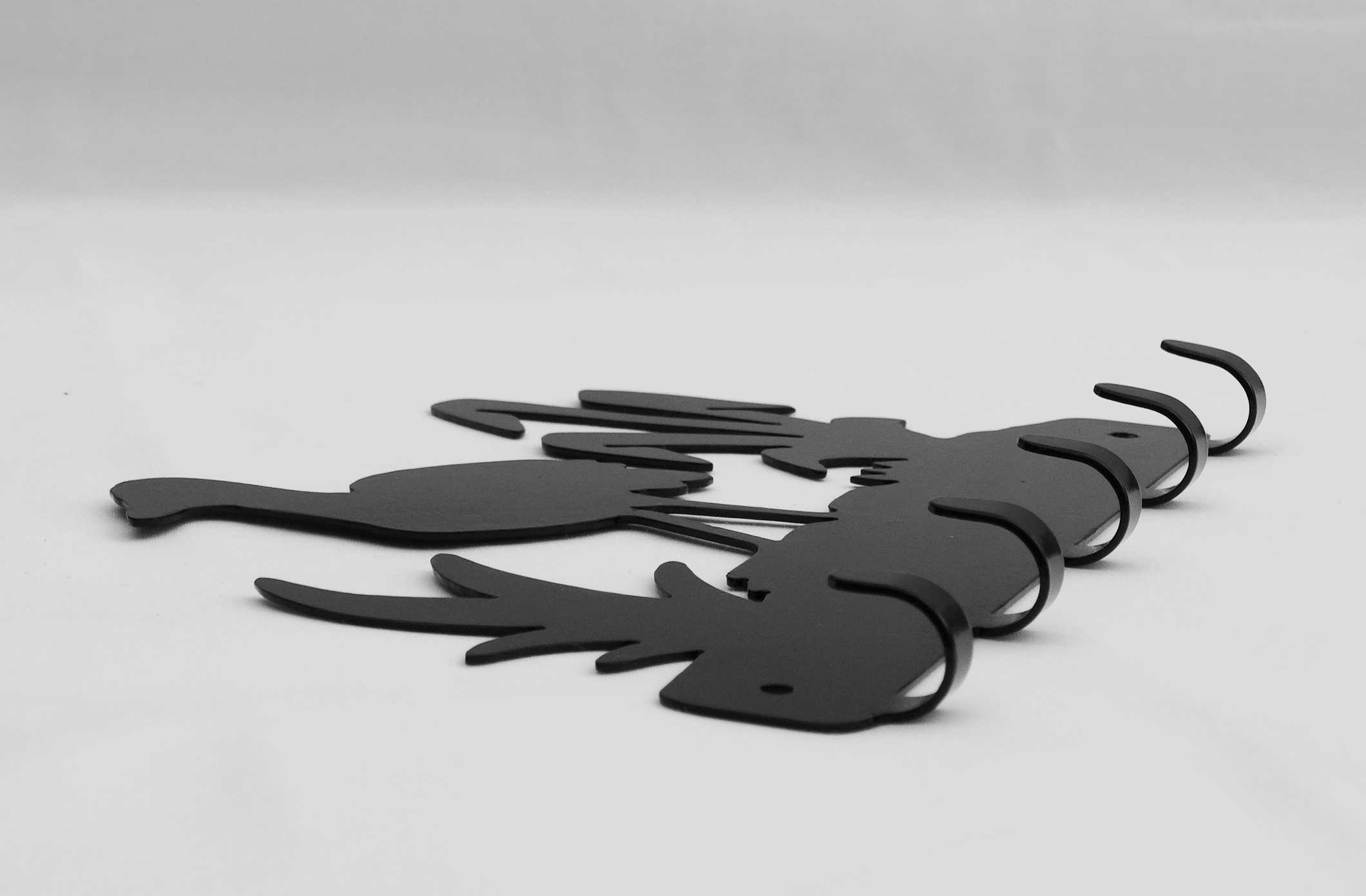 coot-1 keyrack image